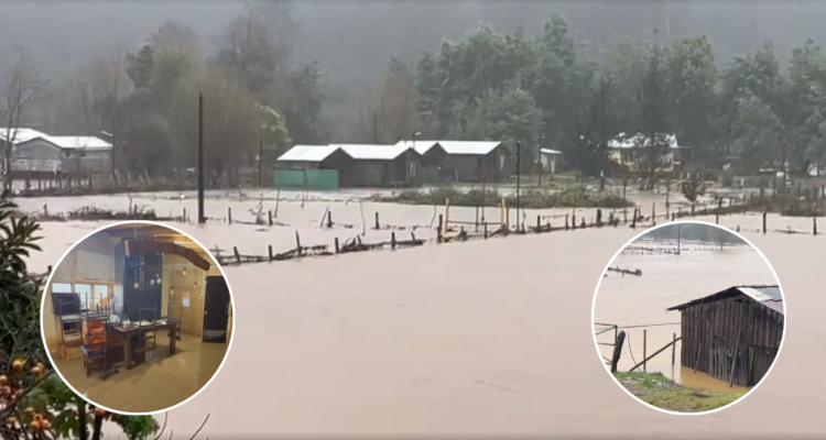 el desastroso panorama tras desborde de río Pichilo por lluvias en Arauco