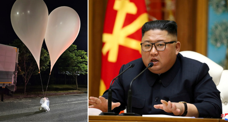 Globos de Corea del Norte con parásitos