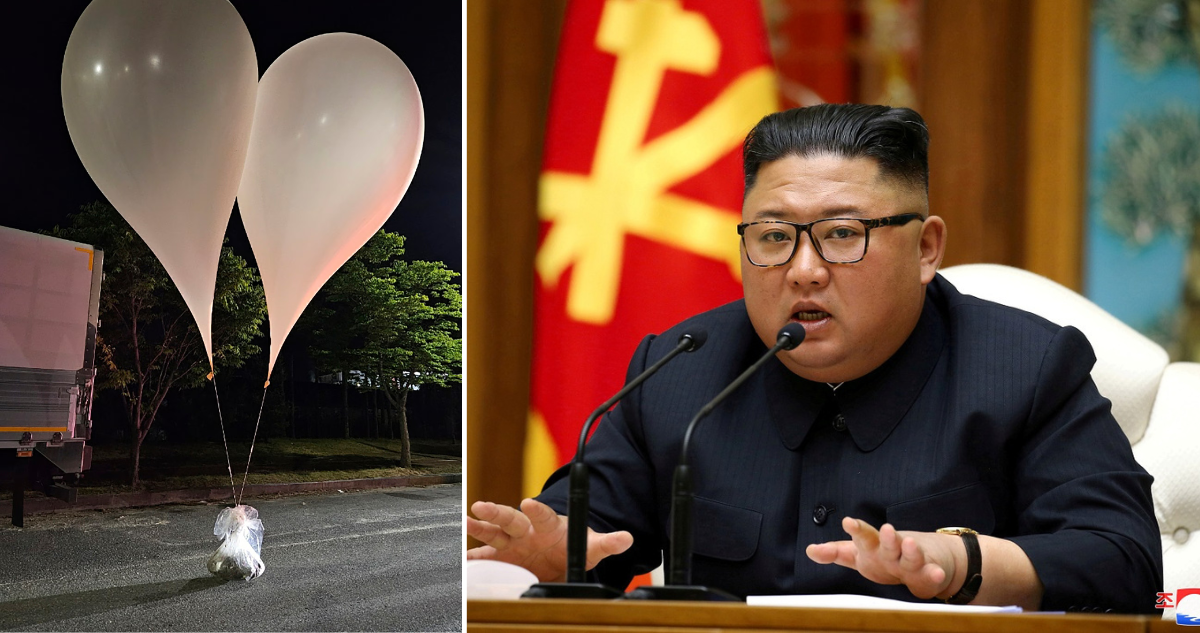 Globos de Corea del Norte con parásitos