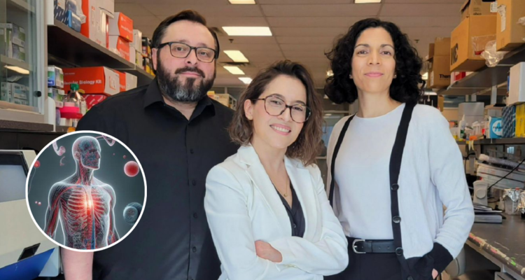 Hito científico: investigadores chilenos crean droga biológica que podría ser efectiva contra la ELA