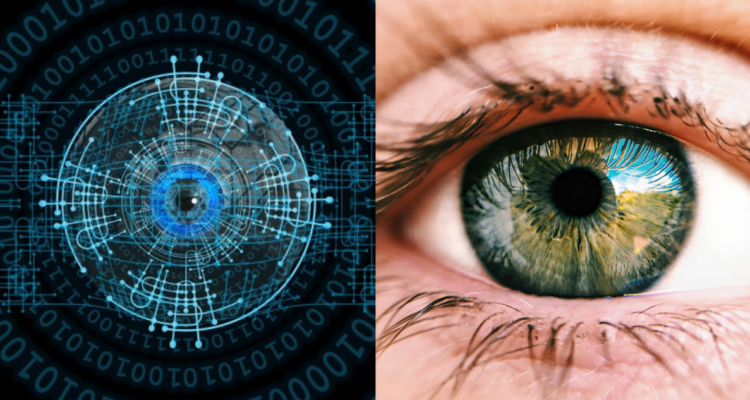 Investigadores chinos desarrollan nuevo y avanzado chip que imita la función visual del cerebro