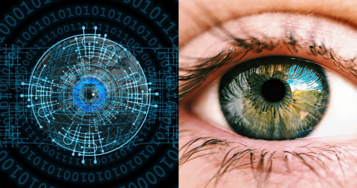 Investigadores chinos desarrollan nuevo y avanzado chip que imita la función visual del cerebro