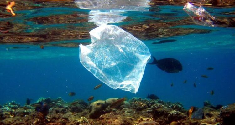 Una estaría cerca de aguas chilenas: estas son las 5 “islas de basura” acumuladas en los océanos