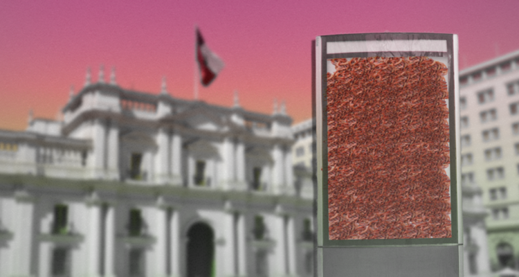 Edición de Cony Escobar | RRSS BBCL 