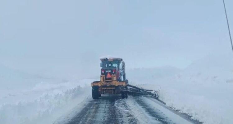 Intensas nevazones dejan a más de 1.800 personas aisladas y 137 clientes sin luz en Lonquimay
