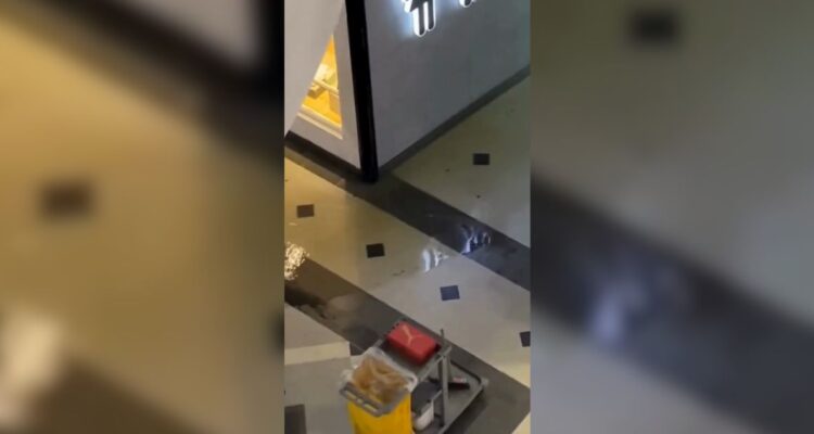 Aguas servidas inundan primer piso del Mall Marina de Viña del Mar: empresa aseguró que reparó matriz