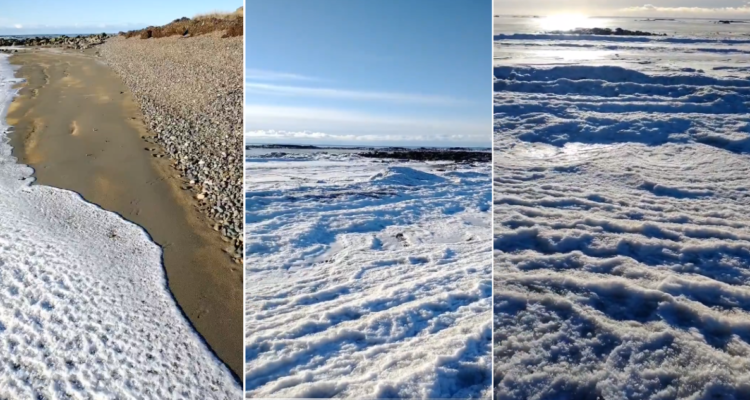 Mar congelado en la Patagonia