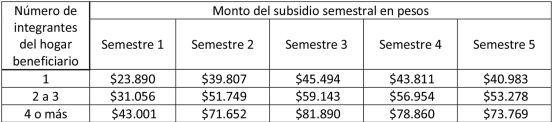 Cuáles son los montos de dinero que se pagarán por el subsidio de eléctrico en Chile por alza en las cuentas de electricidad o luz.