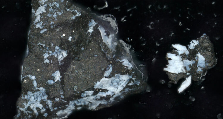 Fragmentos de las muestras del asteroide Bennu