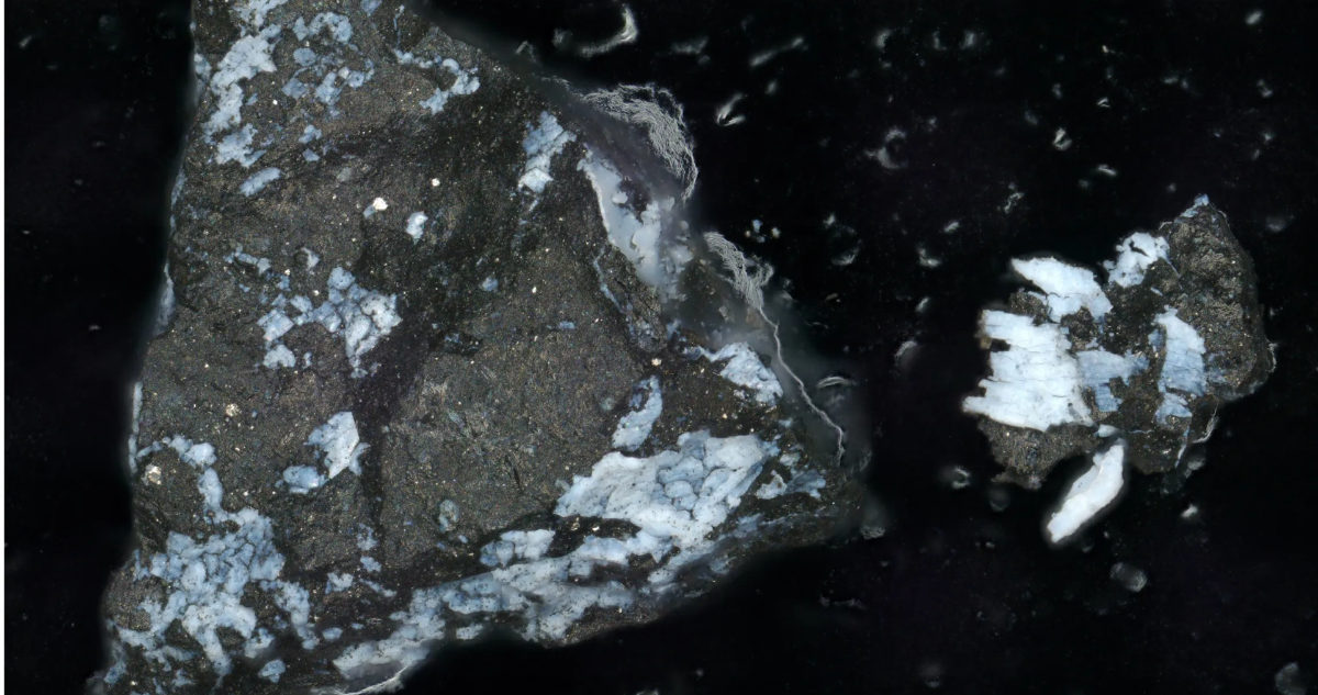 Fragmentos de las muestras del asteroide Bennu