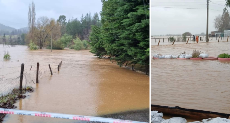 Ordenan evacuar sectores de comuna de Arauco por el desborde del Río Carampangue