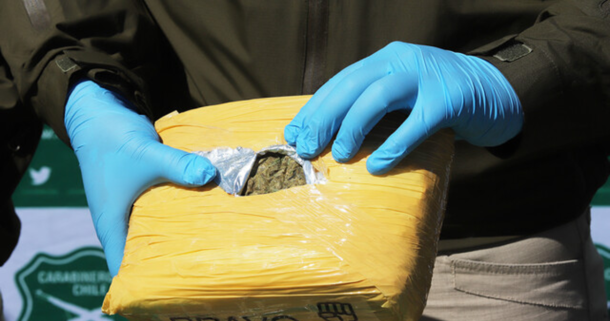 Incautan 85 kilos de marihuana avaluada en $510 millones en Nogales: destino era Santiago