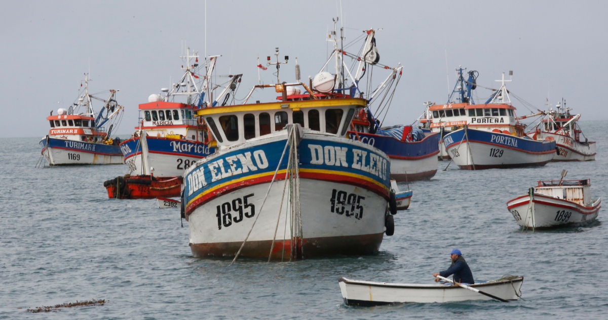 nueva ley de pesca