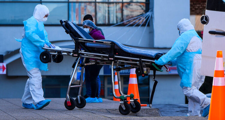 OMS reporta primera muerte humana por gripe aviar en el mundo: paciente fallecido es de México