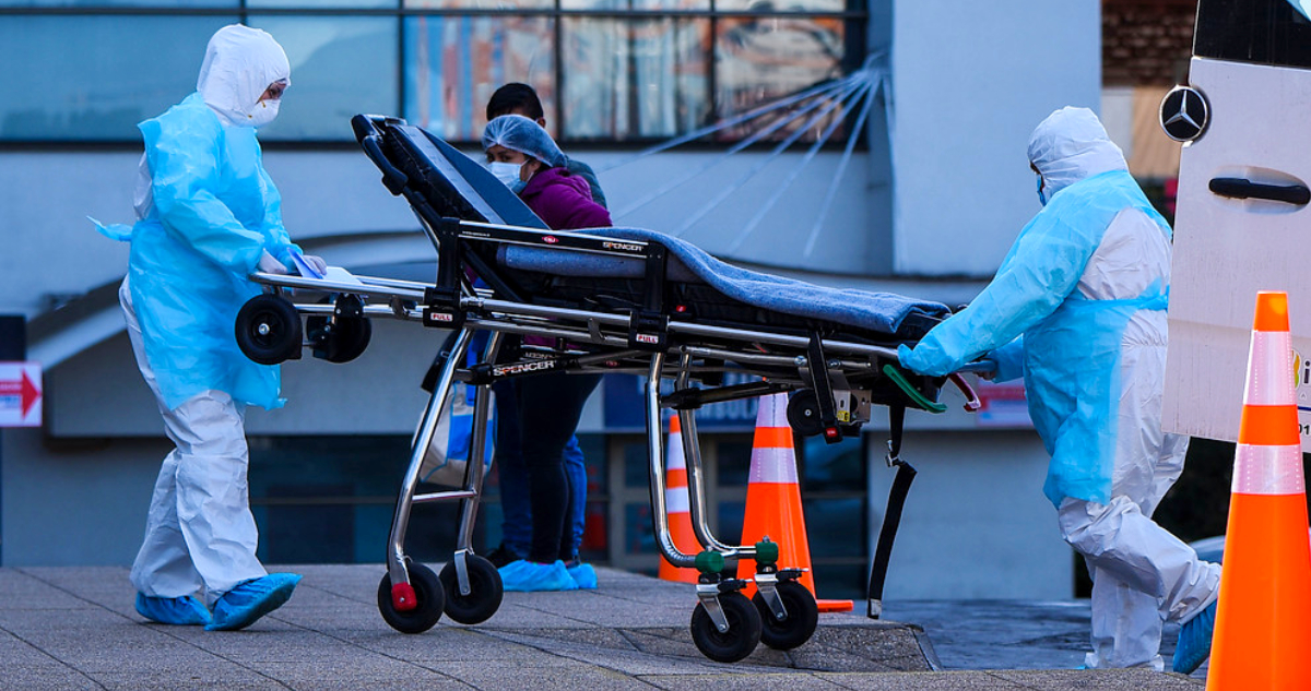 OMS reporta primera muerte humana por gripe aviar en el mundo: paciente fallecido es de México