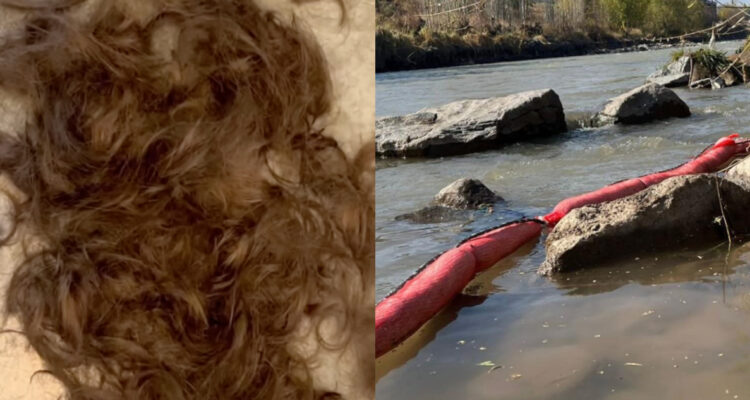 ¿Cómo en Chile se está utilizando el pelo humano desechado para limpiar el agua de ríos y costas?