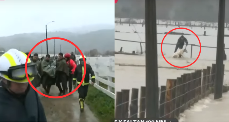 Adulta mayor y perrito rescatados en inundaciones en Arauco