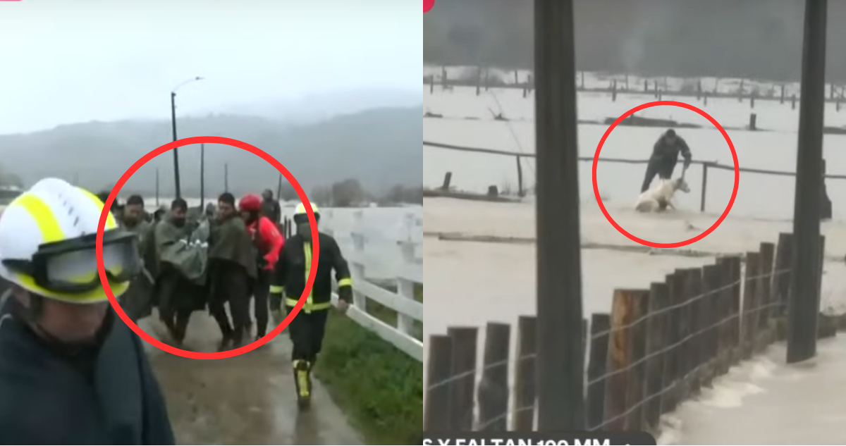 Adulta mayor y perrito rescatados en inundaciones en Arauco