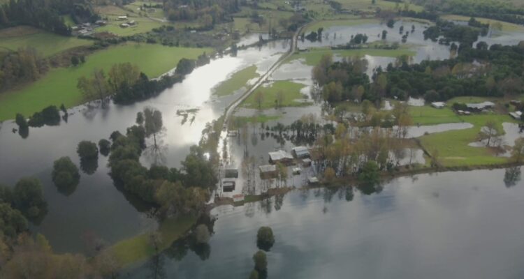 Piden declarar emergencia agrícola en la región de Los Ríos