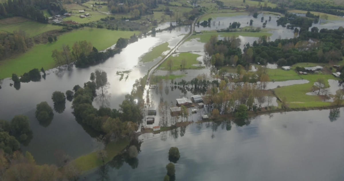 Piden declarar emergencia agrícola en la región de Los Ríos
