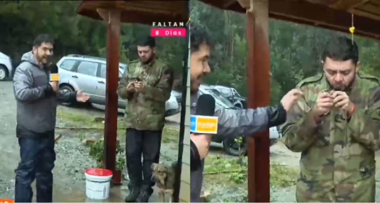 Productor de CHV con pollitos