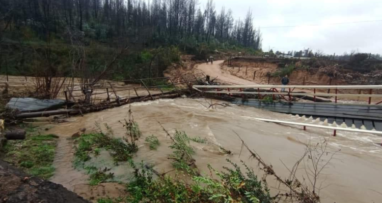 Un puente colapsó: ordenan evacuar dos sectores en Curanilahue por desborde de río y estero