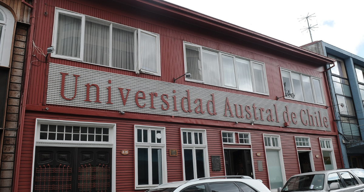 Logo de la UACh por palabras de rector respecto a carreras que suspenderán matrículas