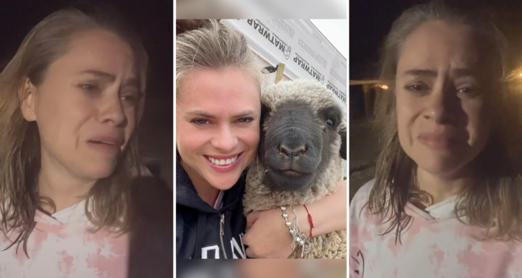 “Rompieron todo”: Eliana Albasetti denunció robo a su santuario animal en desgarrador video en redes