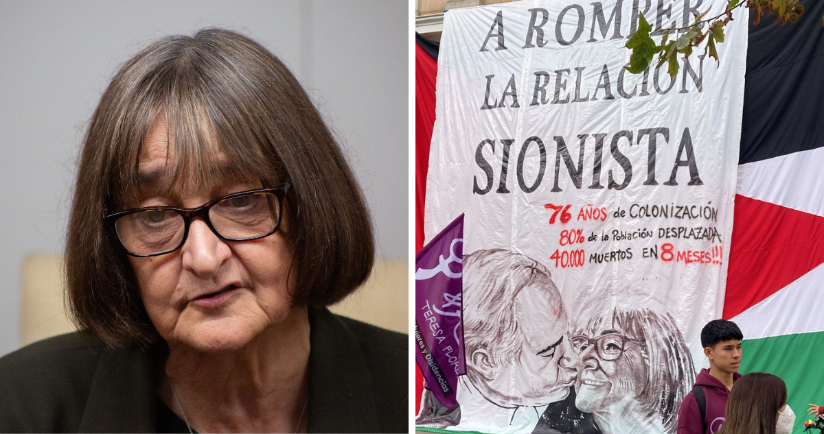 rosa devés lienzo