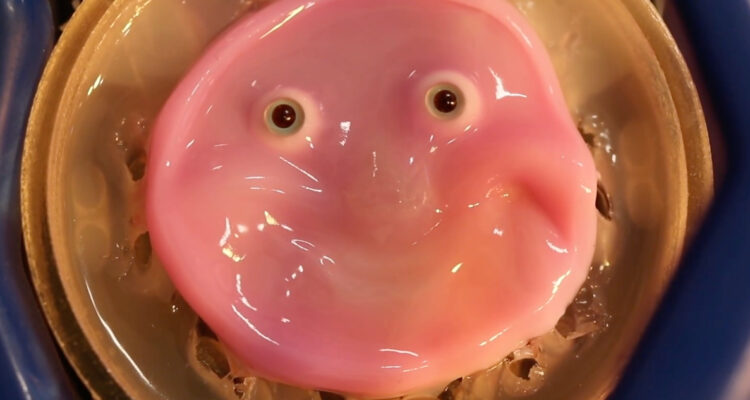 Rostro de piel “viva” para robots