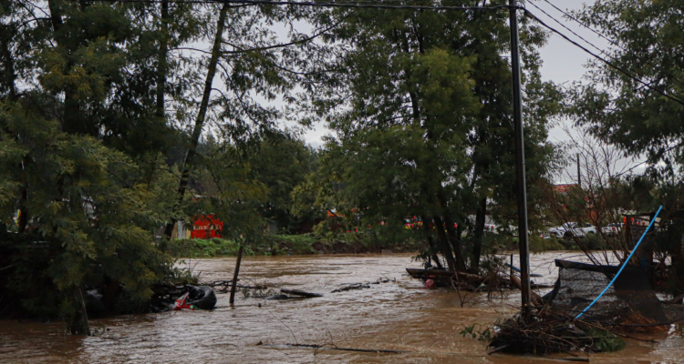 Evacuación de sector Santa Rita por desborde de Río Andalién