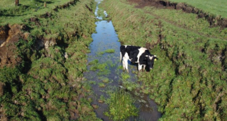 Agricultores del Bío Bío fueron bastante afectados durante el sistema frontal