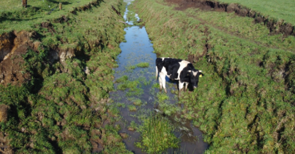 Agricultores del Bío Bío fueron bastante afectados durante el sistema frontal