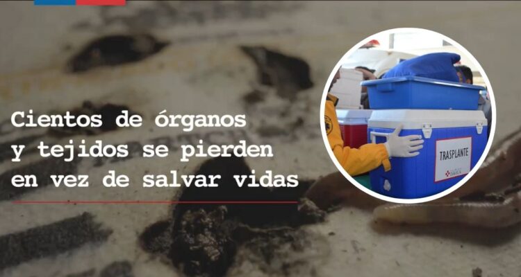 Sociedad Chilena de Trasplante y spot de donación de órganos: “Podría abordarse de manera más sutil”