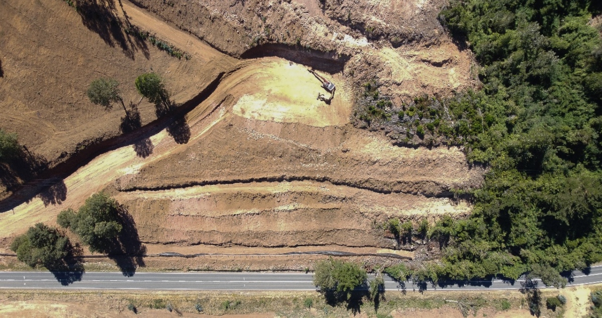 Conaf denuncia a inmobiliaria por tala de bosque nativo
