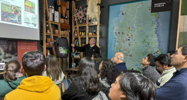 Culmina taller educativo de CMPC sobre especies nativas de hongos comestibles en Temuco