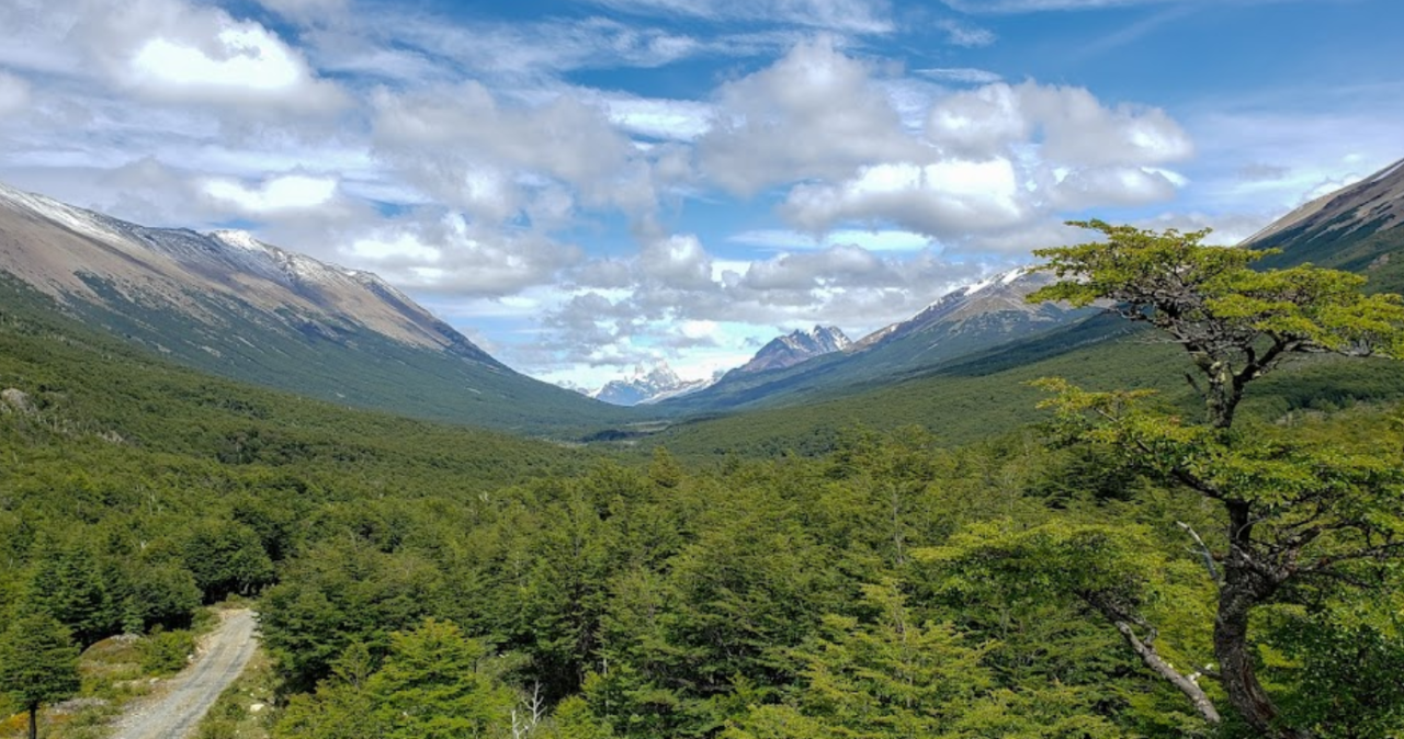 Así es el terreno de 1,2 millones de dólares que Pablo Longueira puso a la venta en la Patagonia
