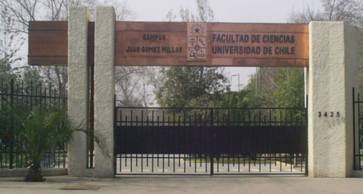 Docentes acusan “violenta” forma de acceso a toma de U. de Chile: “El que se deja pintar la mano pasa”