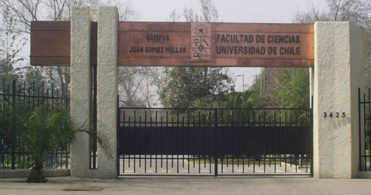 Docentes acusan “violenta” forma de acceso a toma de U. de Chile: “El que se deja pintar la mano pasa”