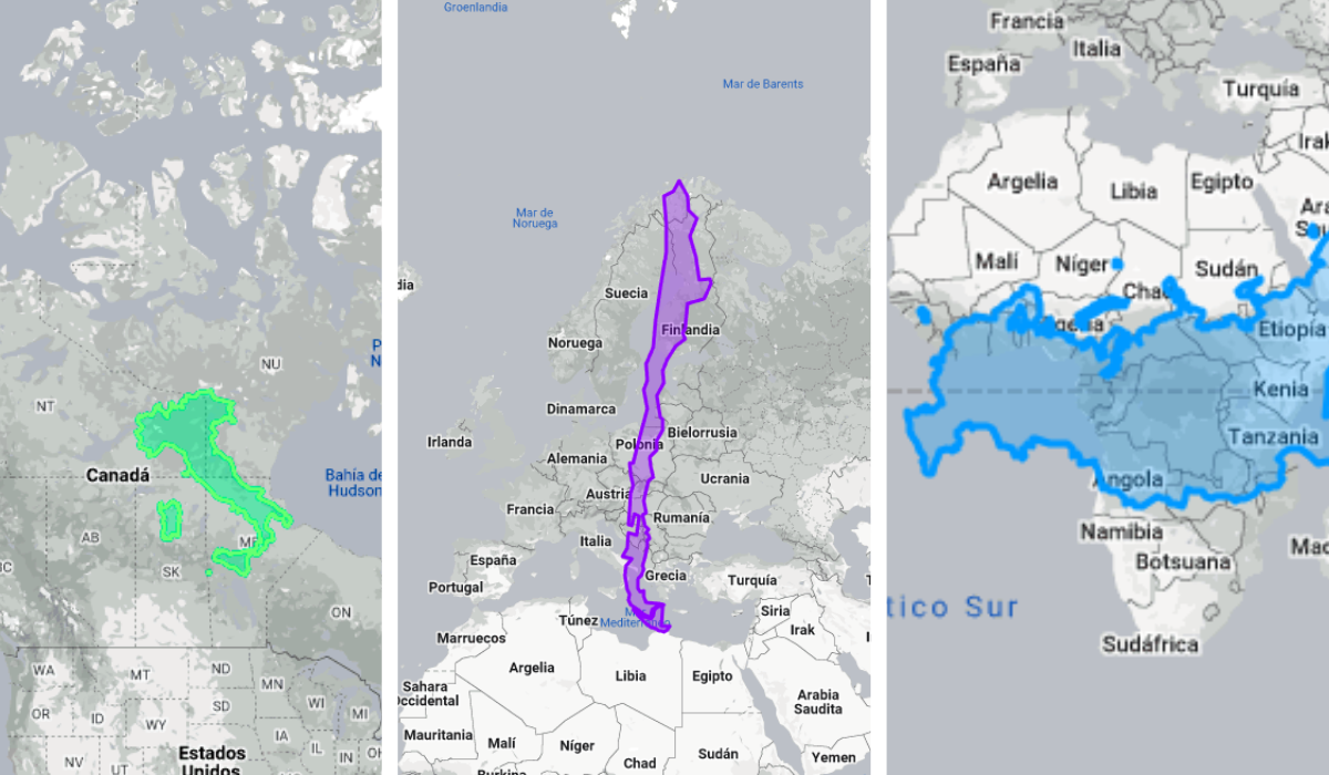 tamaño real países