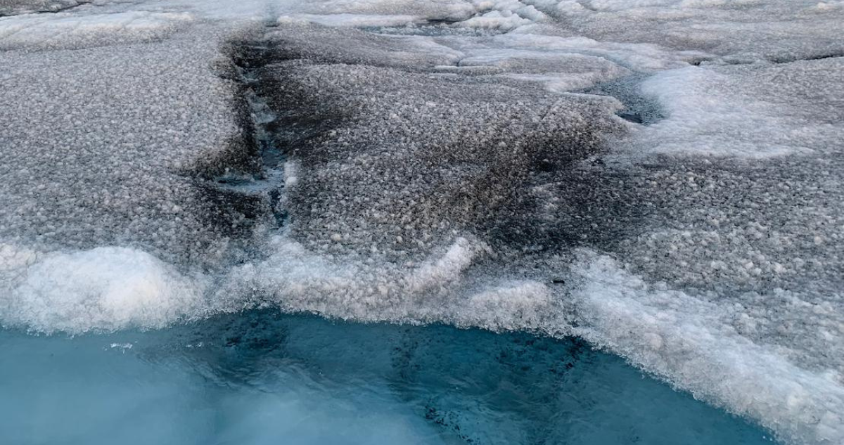 Encuentran virus gigantes en hielo de Groenlandia