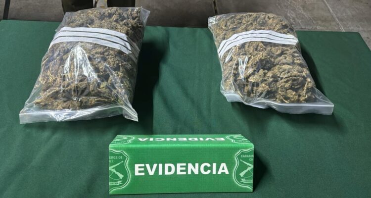 Carabineros incautan marihuana