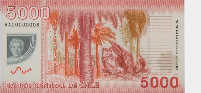 Cómo es el billete chileno de 5.000 pesos, qué personaje tiene y qué hay en su reverso.