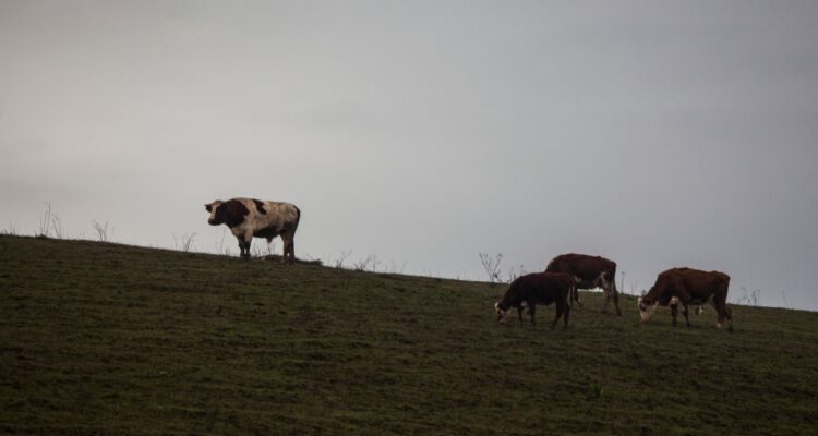 CONTEXTO | Agencia UNO 