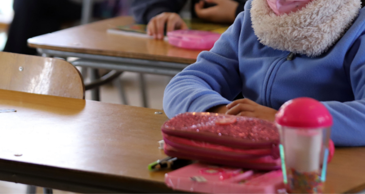 acceso a la educación chilenos