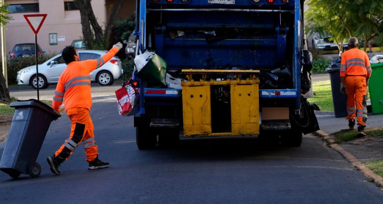 accidente laboral recolector valdivia