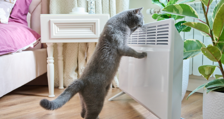 Cómo ahorrar en calefacción