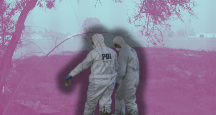 Fin de semana largo terminó con 18 asesinatos: 17 de ellos en la región Metropolitana