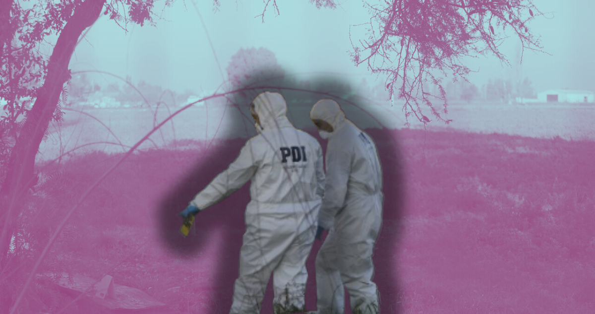 Fin de semana largo terminó con 18 asesinatos: 17 de ellos en la región Metropolitana