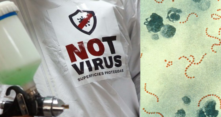 “Streptocuccus pyogenes”: la mortal bacteria en expansión que preocupa a especialistas chilenos